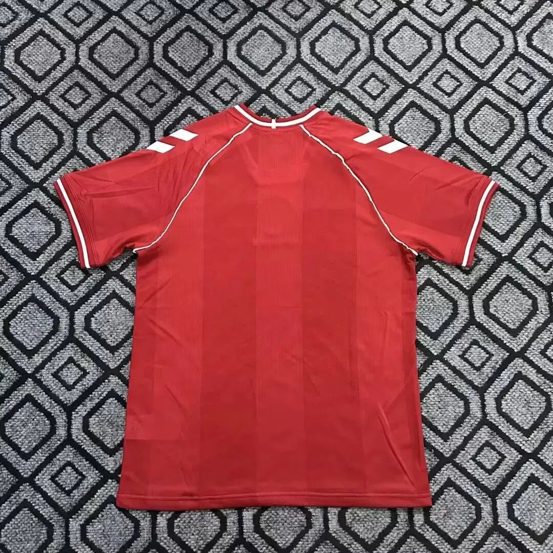 Maillot Danemark Domicile 2026--1