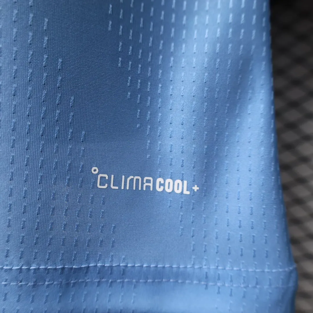Maillot Argentine Édition Commémorative Adieu de Messi 2026 Version Player--6