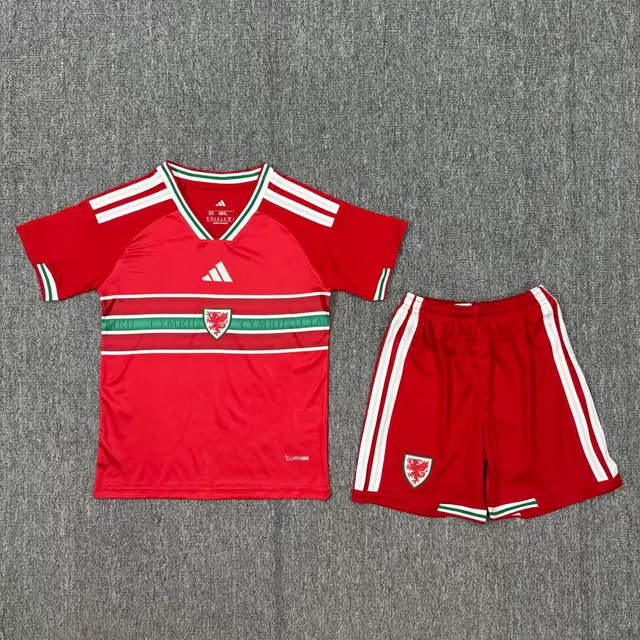 Maillot Kit Enfant Pays de Galles Domicile 2026
